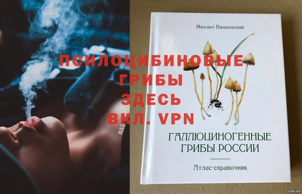 мяу мяу мука Балабаново