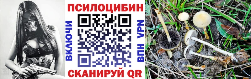 Псилоцибиновые грибы Psilocybe Бахчисарай