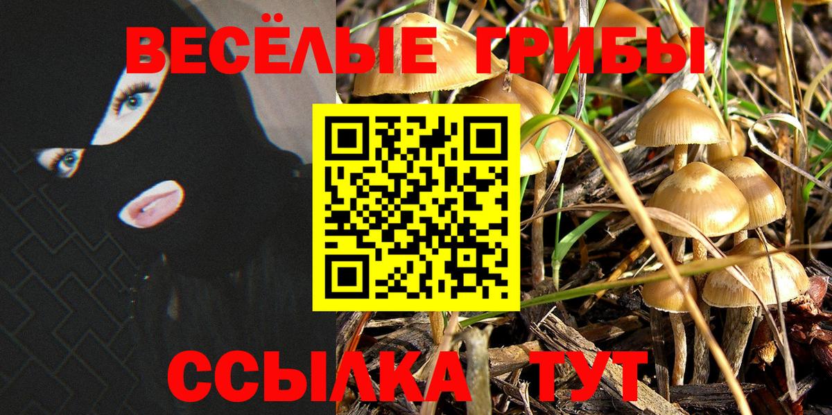 Галлюциногенные грибы Psilocybine cubensis Бахчисарай