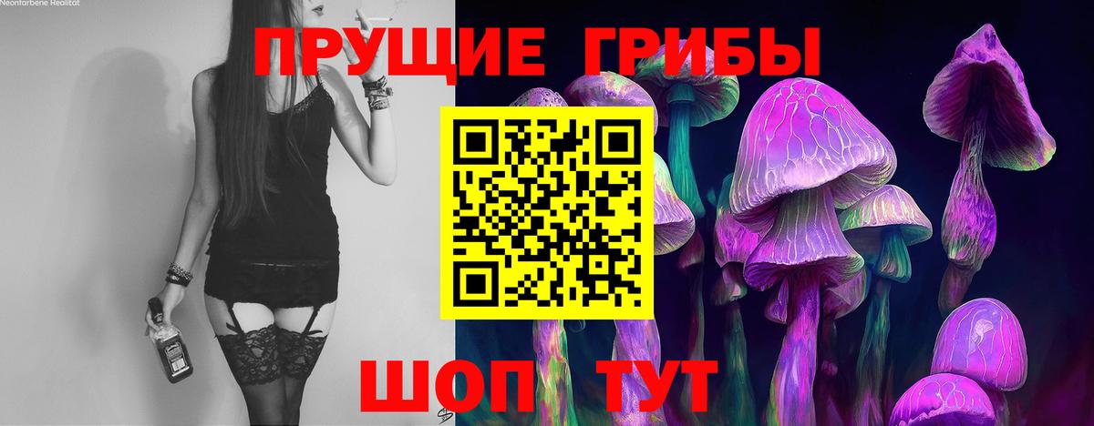 Галлюциногенные грибы GOLDEN TEACHER  Галлюциногенные грибы Cubensis  купить наркотики цена  Вход с VPN  Бахчисарай 
